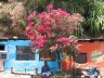 IMG_0191.JPG - 